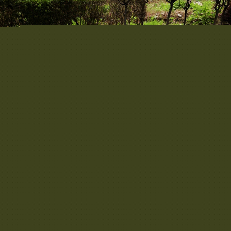 大理石火鍋桌平面電磁爐款式